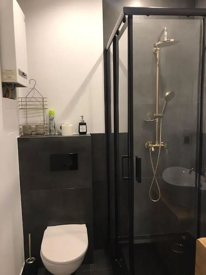 Stylowy Apartament W Centrum Wroclaw 0*,